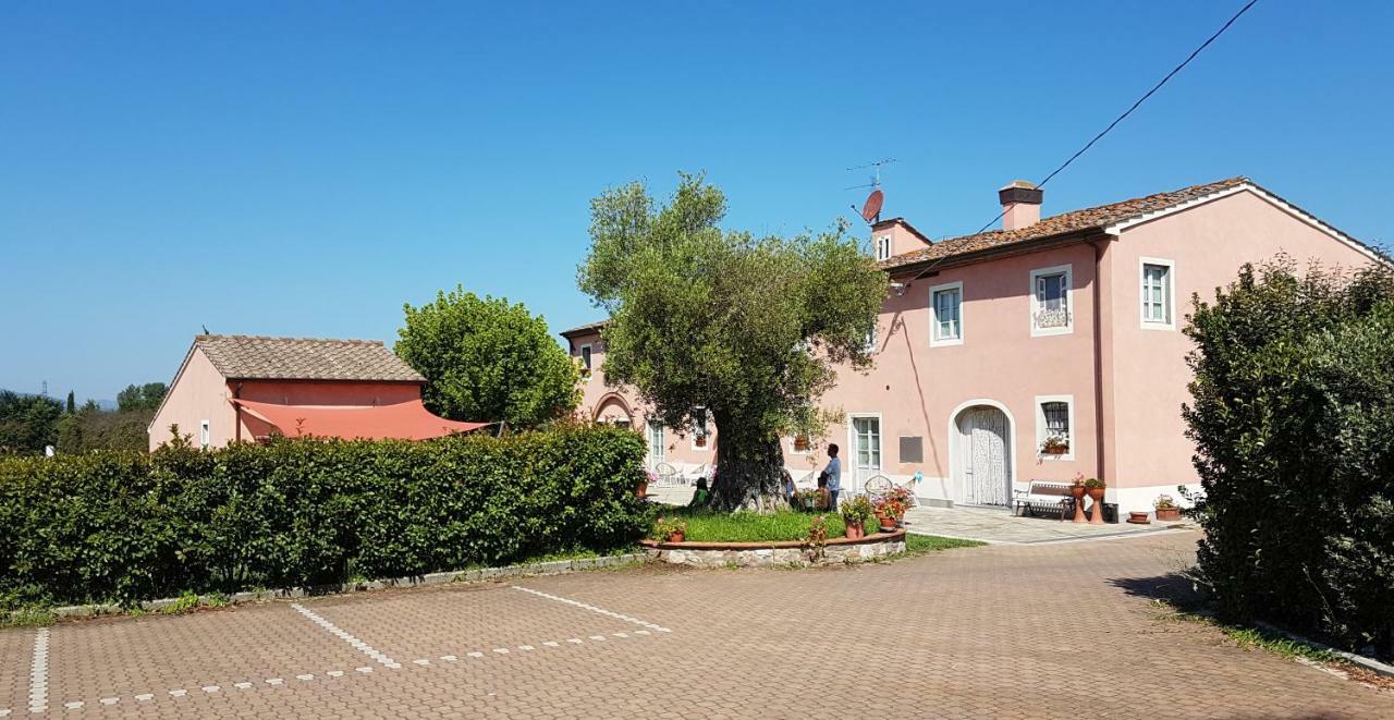 Casal Sant'Elena Bed & Breakfast Altopascio Bagian luar foto